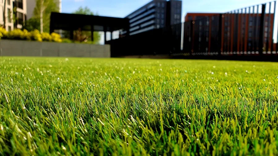 Gartenpflege und Außenanlagenpflege in Neuwied